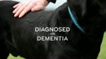Dementia Dog