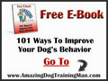 Dog Training - Positive Reinforcement - AmazingDogTrainingMan.com