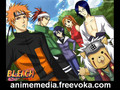 bleach 161 at animemedia.freevoka.com