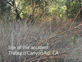SCENE OF THE ACCIDENT - 5/13/07
