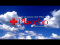 Placebo: the little white pill