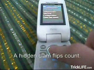 View and access hidden service on a sony ericsson phone