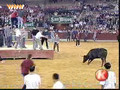 A Bad Day at the Rodeo