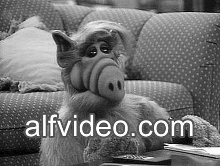 Alf-25.(Alfvideo.com)