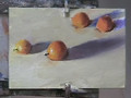 Kumquats, Oil Painting by Seamus Berkeley