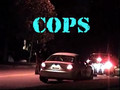 COPS Parody - Episode 2