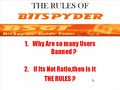 BSGT:The Rules of BitSpyder