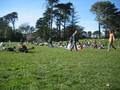 Hippie Hill@Golden Gate Park
