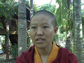 Sister Sonam Wangmo - Study & Meditation