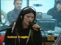 Laura Pausini - Anima Fragile (Live Radio TG1)