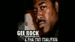 GEE ROCK - FOLLOW FOR NOW 95 REVISITED 