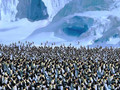 Happy Feet - Emperor Penguins Movie Teaser HDTV