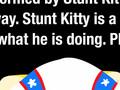 Stunt Kitty 2 - Ducky Fire