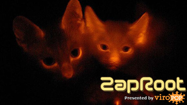 ZapRoot 025 | Glow in the Dark Cats 