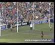 1986 VFL Grand Final: Hawthorn v Carlton