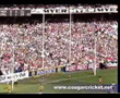 1989 VFL Grand Final: Hawthorn v Geelong