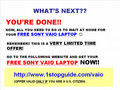 FREE Sony Vaio Laptop (US ONLY) 