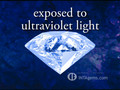 #7 ? Fluorescence - Diamond Buying Guide Series