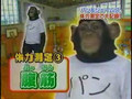 Monkey training abs