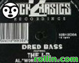 dred bass & the jb - world of music ( back 2 basics 1995 )