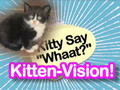 Ultra Kawaii - Kitty Say What? 
