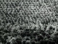 Hitler's Warriors - Canaris The Spy