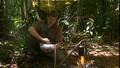 Ray Mears Bushcraft 1x03 - Jungle Trek