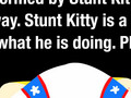 Stunt Kitty 5 - Wing Walker