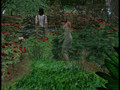 Where The Wild Roses Grow (Sims 2)