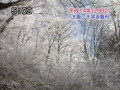 メモリアル映像館(2007-12-02)冬の風景_.wmv