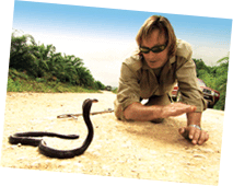 Search For Man Eating Snake with Austin Stevens