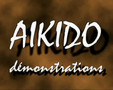 Aikido demo 1995-2001