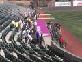 Spring Training 2008: Oakland A's host Milwaukee Brewers