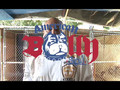 KushTv - The American Bully Show - Webisode 1