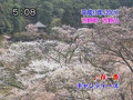 メモリアル映像館(2008-03-02)奈良の四季_.wmv