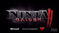 Ninja gaiden 2