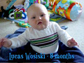 Lucas Wosiski - 8 months old