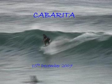 Cabarita_Sea_Creatures.wmv