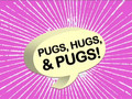 Ultra Kawaii - Pugs, Hugs, & Pugs!
