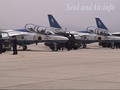MIHO Air Show 2007 11 YS-11 Fly-bys and Landings.avi