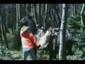 Horse Nails Two Guys With a Massive Kick