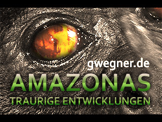 Amazonas - Traurige Entwicklungen