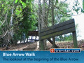 Walking Tracks - Blue Arrow Walk 