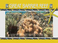 Ocean Spirit, Oyster Reef & Upolu Reef