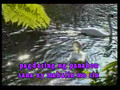 VIDEOKE - Aiza Seguera - Pagdating Ng Panahon