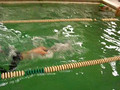 Swimming Breastroke