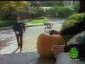 The Adventures of Pete and Pete Ep15