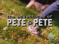 The Adventures of Pete and Pete Ep19