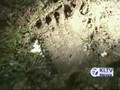 Searching for Bigfoot in the News
