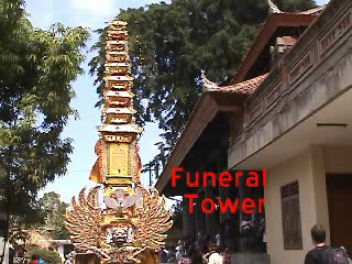 Balinese Cremation (Community Party)